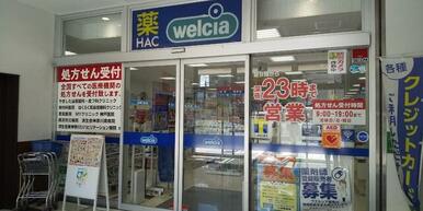 ハックドラッグ六角橋店