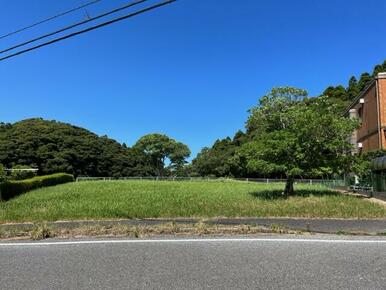 南西道路側から撮影した写真です