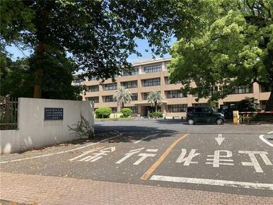 国立熊本大学薬学部