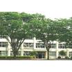 中学校
