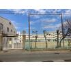 小学校