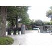 大学