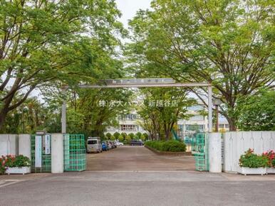 草加市立谷塚中学校：約1200ｍ