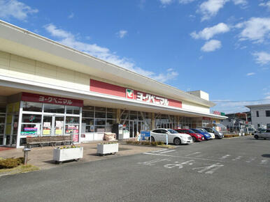 ヨークベニマル福田町店