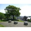 公園