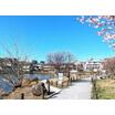 公園