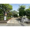 公園