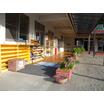 幼稚園、保育園
