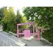 幼稚園、保育園