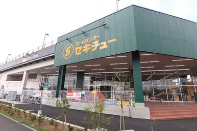 セキチュー 流山おおたかの森店