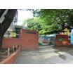 幼稚園、保育園