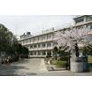 中学校