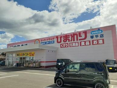 ひまわり琴平店