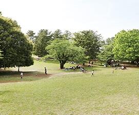 光が丘公園