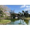 公園