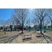 公園