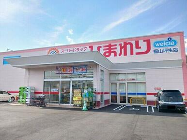 ひまわり福山坪生店