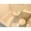 バス/シャワー