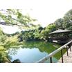 公園