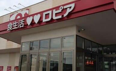 ロピア 石川店