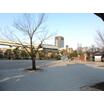 公園