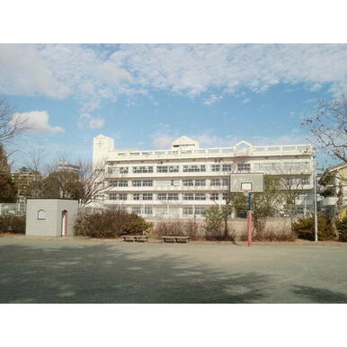 松山小学校