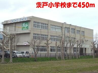 茨戸小学校