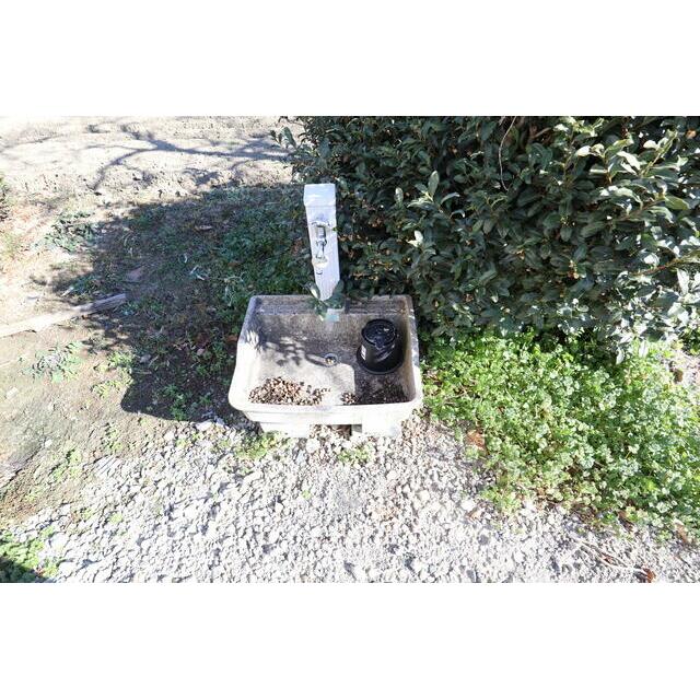 前回募集参考写真