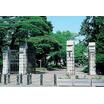 大学