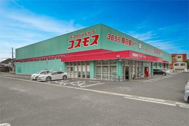 ﾃﾞｨｽｶｳﾝﾄﾄﾞﾗｯｸﾞ ｺｽﾓｽ 水巻店