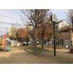 公園