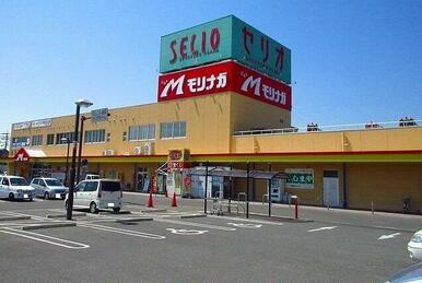 モリナガ牛津店