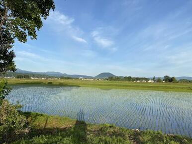 隣地田園