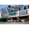 幼稚園、保育園
