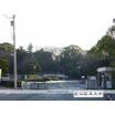 大学
