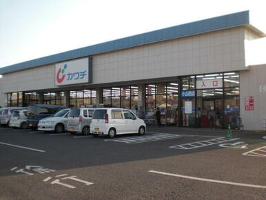 カワチ薬品小山西店