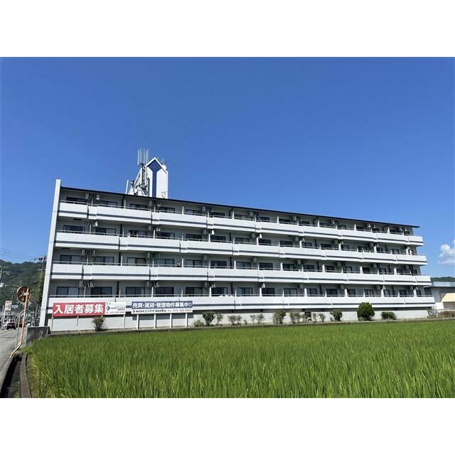 前面に建物がないので日当たり良好です。