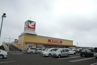 ヨークベニマル遠見塚店