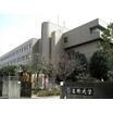 大学