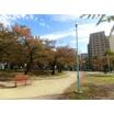 公園