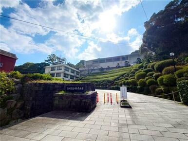 私立長崎総合科学大学