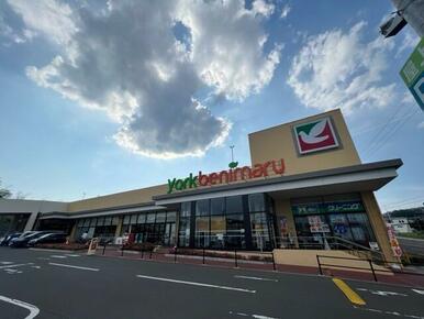 ヨークベニマル西の平店