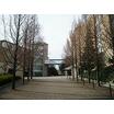 大学