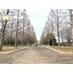 公園