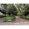 公園