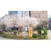 公園