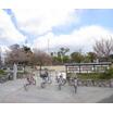 公園