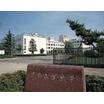 大学
