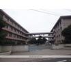 中学校