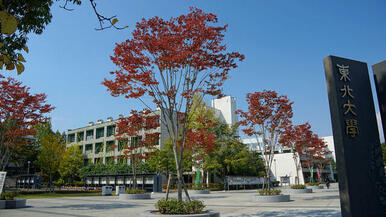 東北大学川内キャンパス